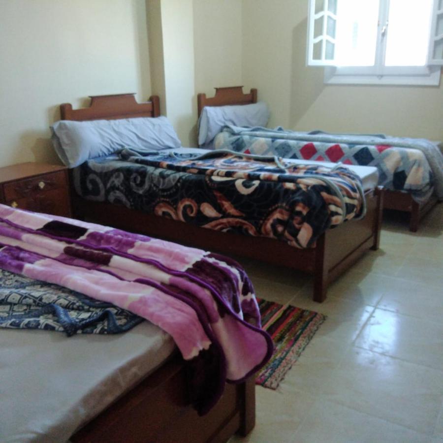 Addas Home Siwa Oasis Εξωτερικό φωτογραφία